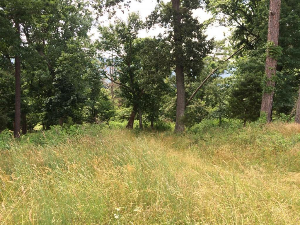 0 Greystone Road, Unit 918 Greeneville, TN 37743 - Photo 6 of 15 Photo 6