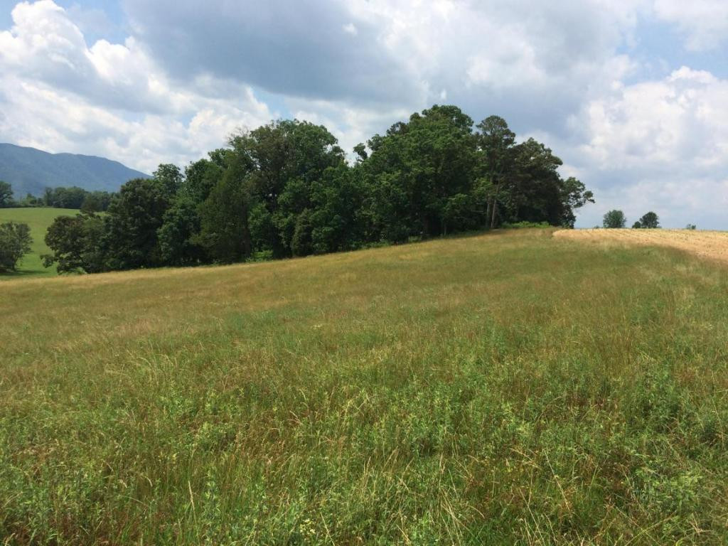 0 Greystone Road, Unit 918 Greeneville, TN 37743 - Photo 7 of 15 Photo 7