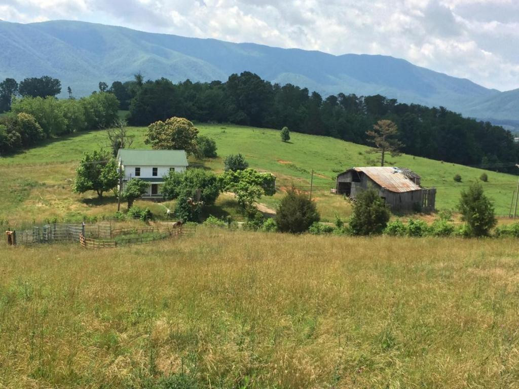 0 Greystone Road, Unit 918 Greeneville, TN 37743 - Photo 9 of 15 Photo 9