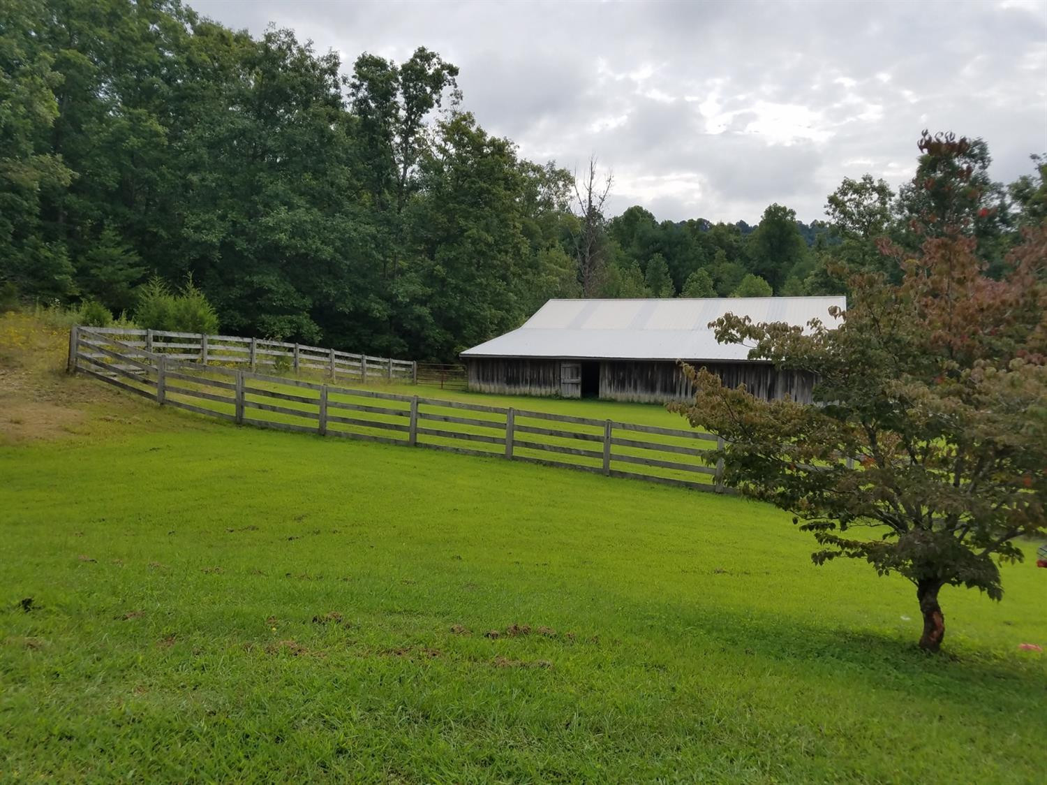 2369 Mitchellsburg Knob Road Parksville, KY 40464 - Photo 28 of 88 Photo 28