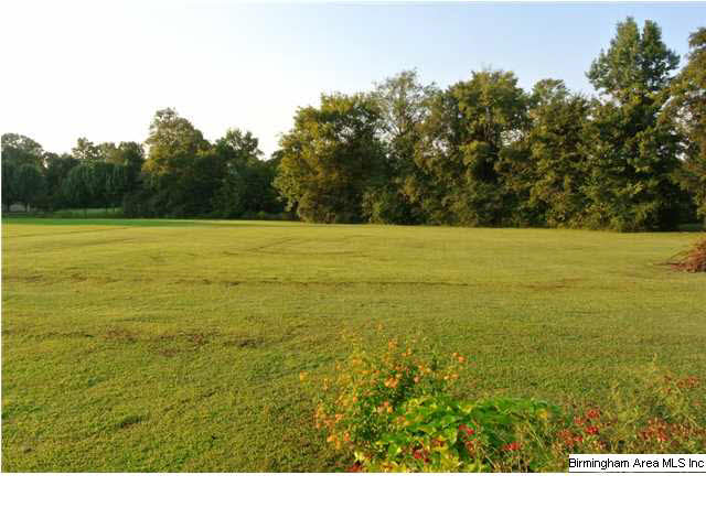 575 Blair Farm Road Odenville, AL 35120 - Photo 5 of 32