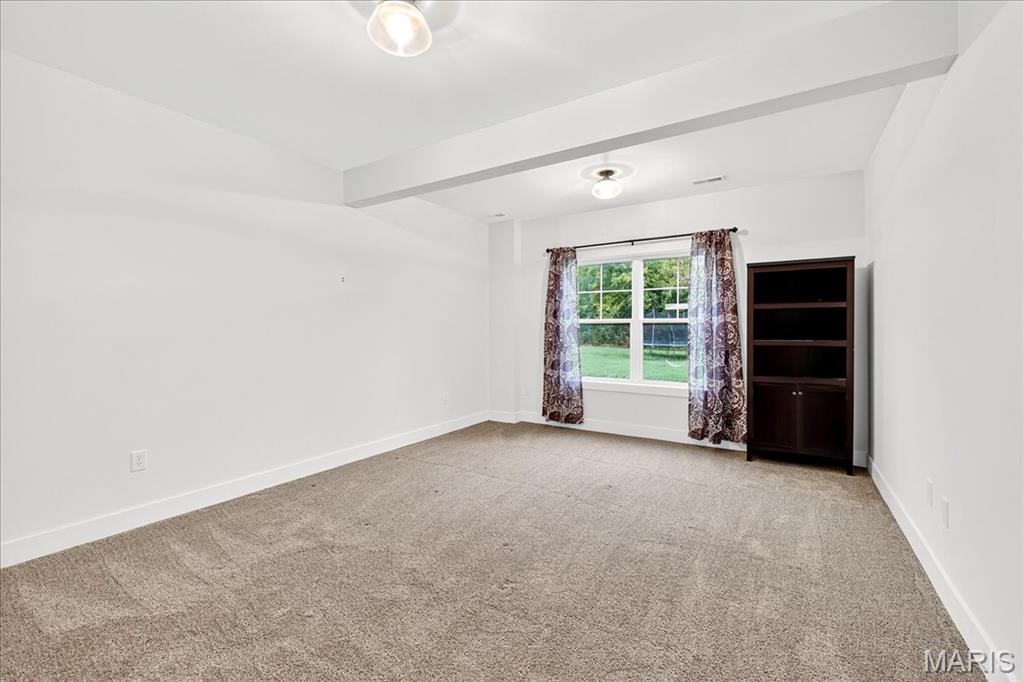 1821 Orr Lane O'Fallon, IL 62269 - Photo 42 of 72