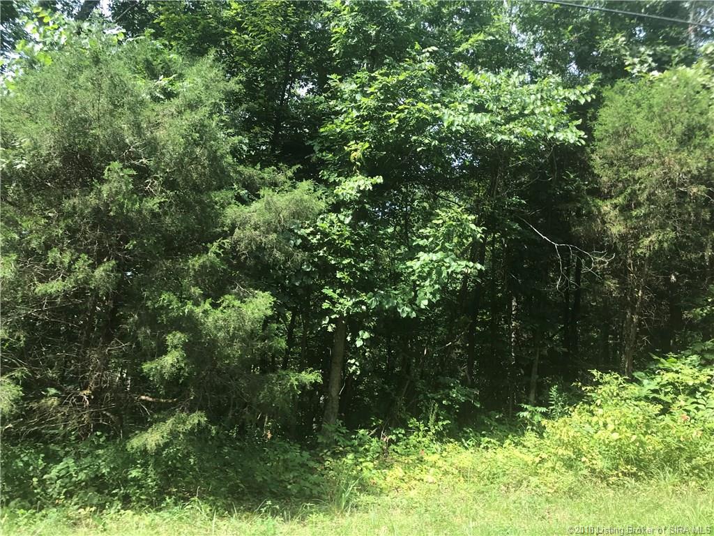 East Magnolia Road English, IN 47118 - Photo 3 of 6