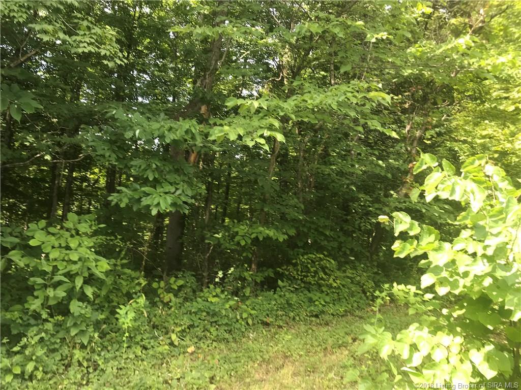 East Magnolia Road English, IN 47118 - Photo 6 of 6