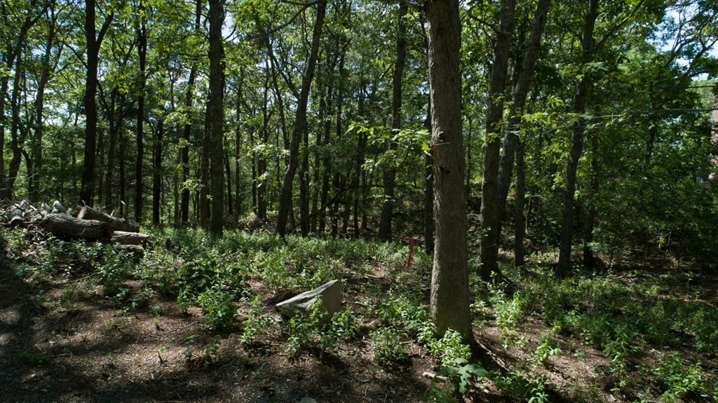 1928 R State Road Plymouth, MA 02360 - Photo 15 of 28 Gallery Image 15