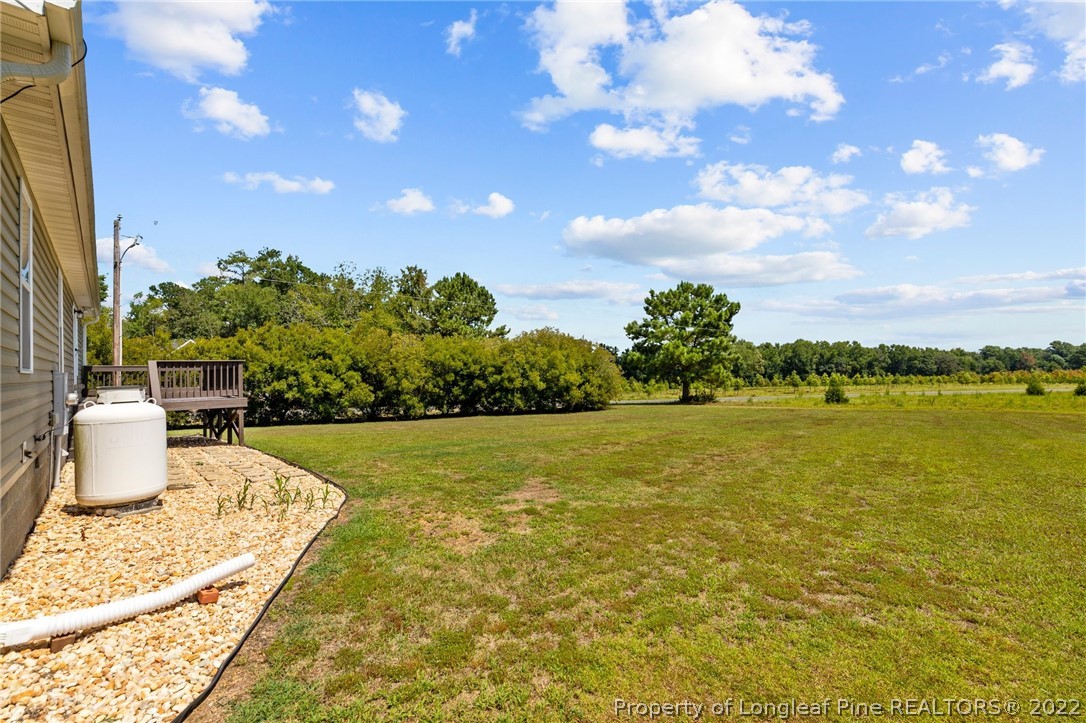 21 Hunters Point Court Angier, NC 27501 - Photo 14 of 39 Gallery Image 14