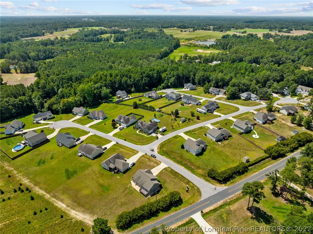 21 Hunters Point Court Angier, NC 27501 - Photo 18 of 39 Gallery Image 18