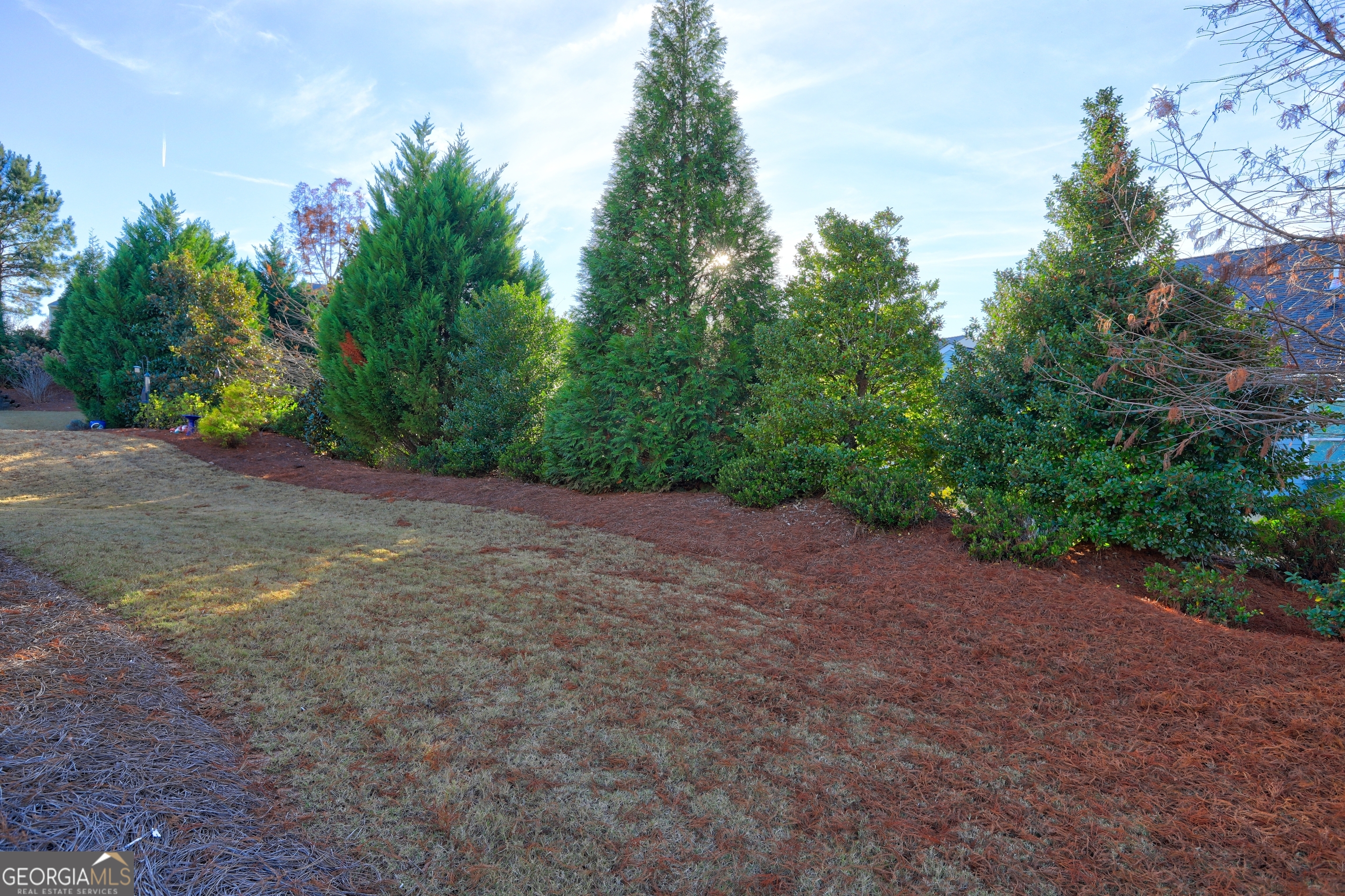 757 Firefly Court Griffin, GA 30223 - Photo 5 of 31 a view of a yard with a tree