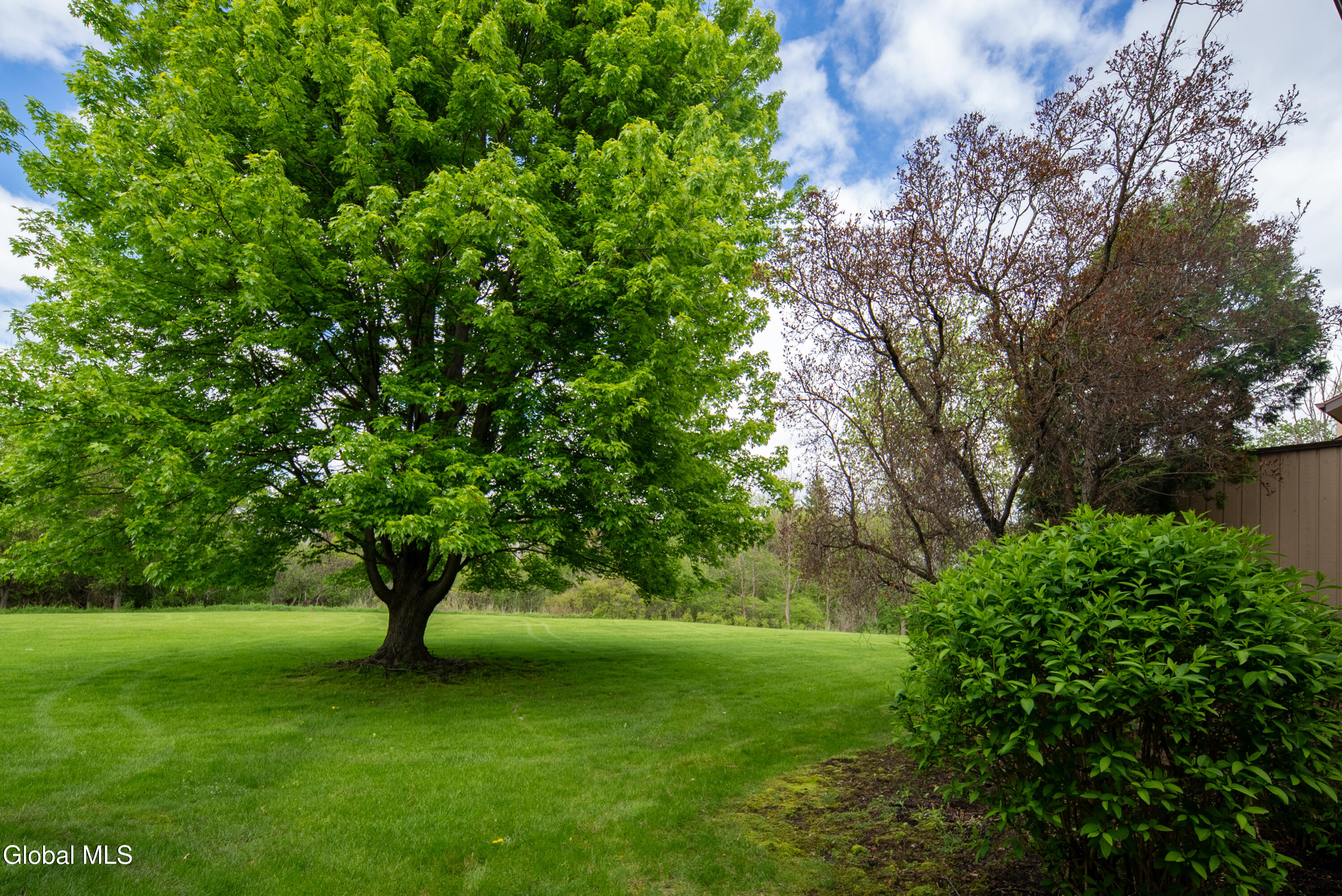 67 Harvard Road Watervliet, NY 12189 - Photo 20 of 21 Backyard