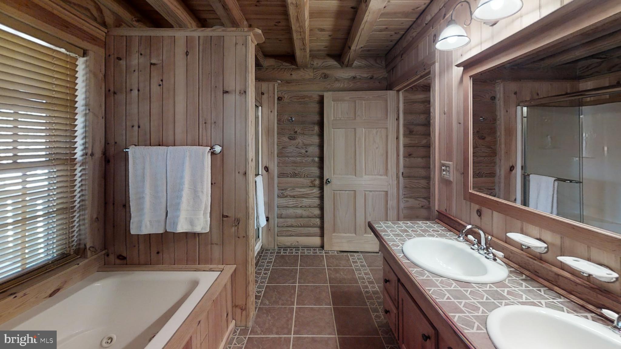 295 Douglas Road Mineral, VA 23117 - Photo 13 of 37 Primary Bathroom
