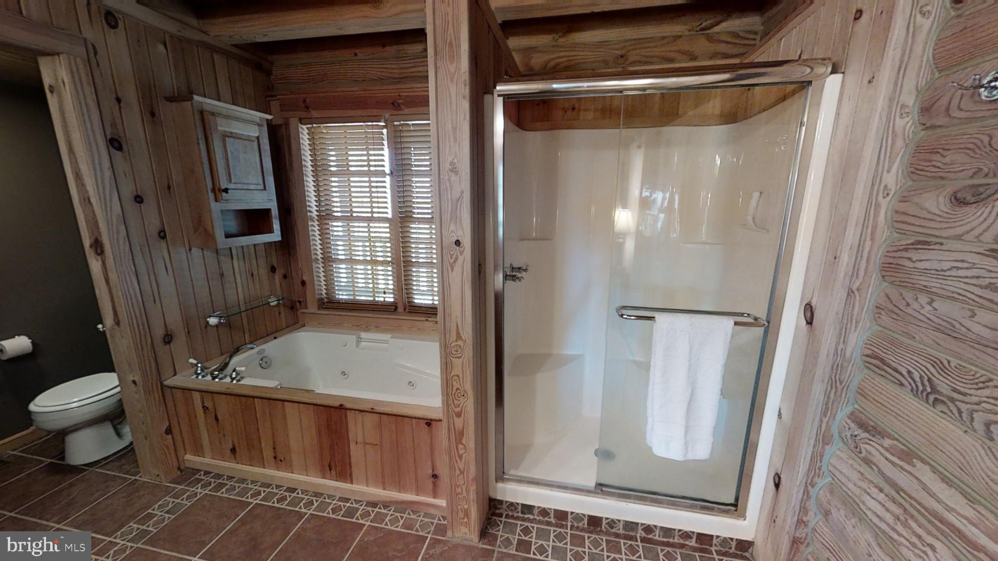 295 Douglas Road Mineral, VA 23117 - Photo 14 of 37 Jetted tub and stall shower in the primary bath