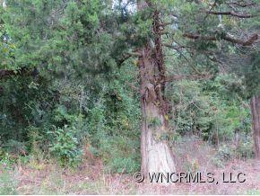 0 North Mitchell Street Rutherfordton, NC 28139 - Photo 8 of 8