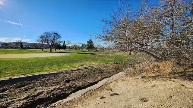 a view of a yard with wooden fence