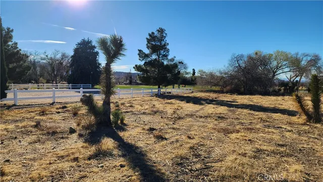 a view of a sky from a yard