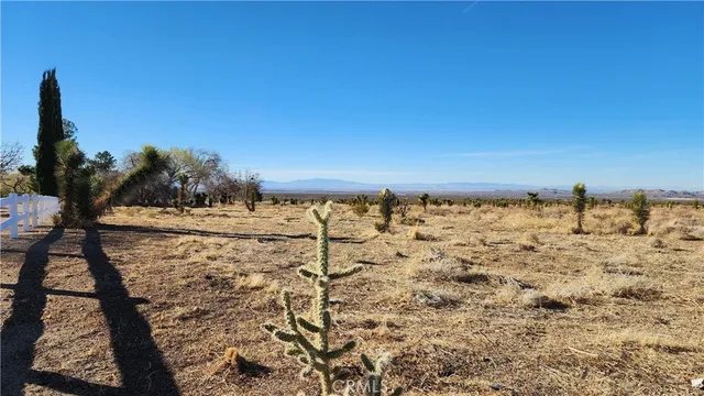 a view of a ocean beach