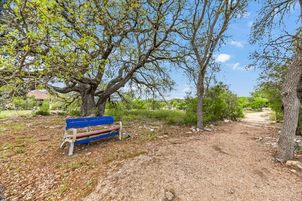 1930 Rothschild New Braunfels, TX 78132 - Photo 31 of 39 The property features a natural landscape with mature trees and a clear pathway
