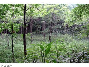 0 Davy Cain Road Harrisville, WV 26362 - Photo 6 of 6 Gallery Image 6