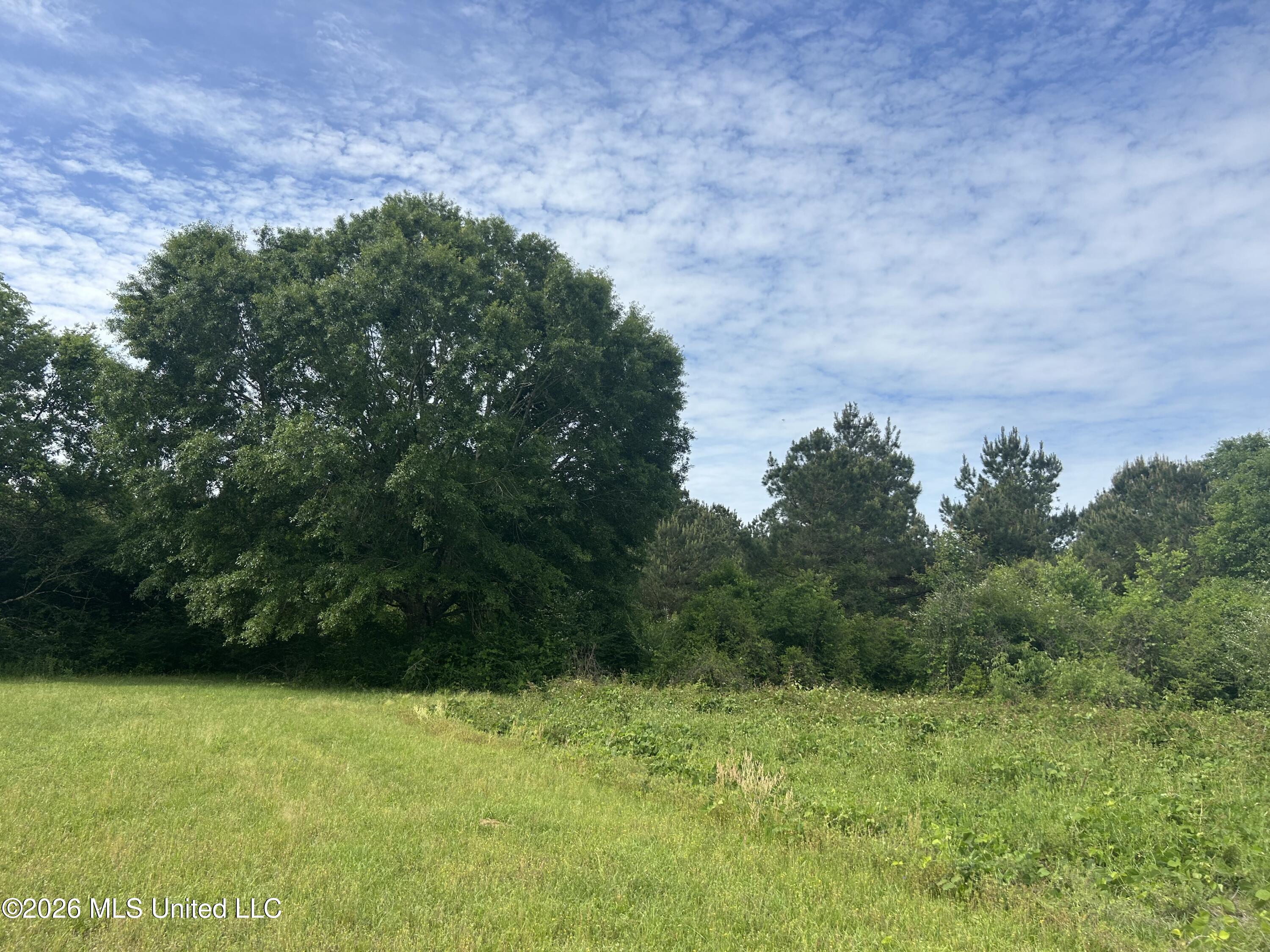 152 New Hope-Kokomo Road Foxworth, MS 39483 - Photo 2 of 6 IMG_4132