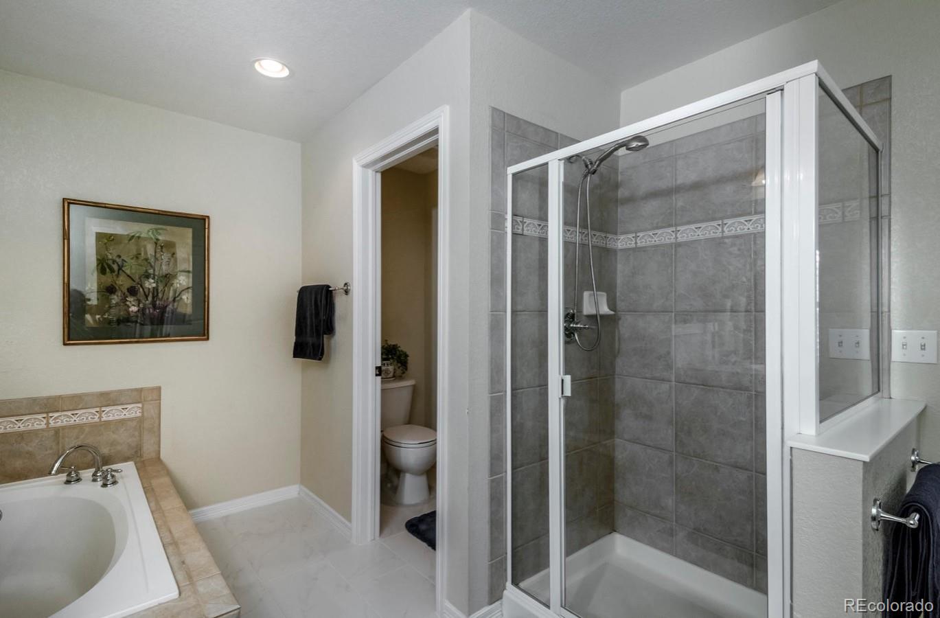 8883 Edinburgh Circle Highlands Ranch, CO 80129 - Photo 20 of 29 Gallery Image 20