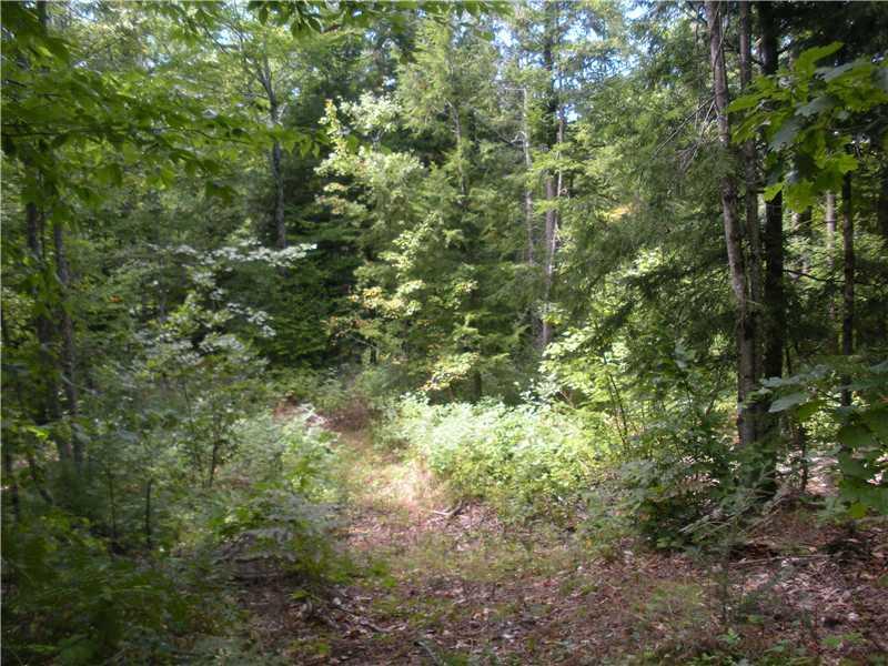 Lot 21 Hussey Road Parsonsfield, ME 04047 - Photo 1 of 15 Land. interior of lower access location