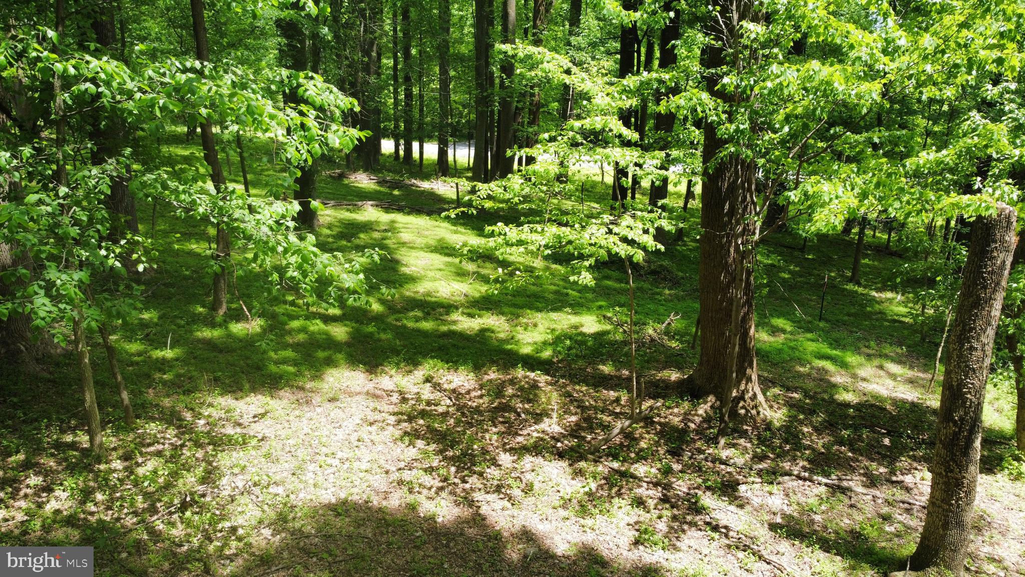 Taylorstown Road Leesburg, VA 20176 - Photo 1 of 15 Gallery Image 1