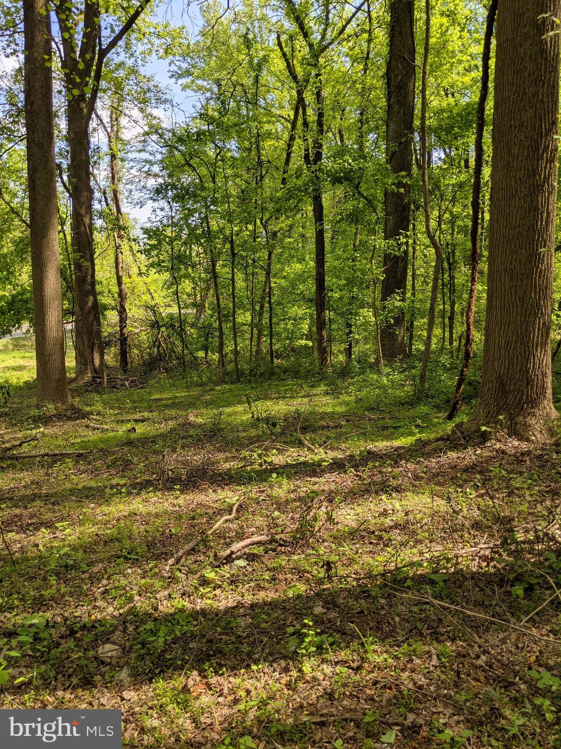 Taylorstown Road Leesburg, VA 20176 - Photo 3 of 15 Gallery Image 3