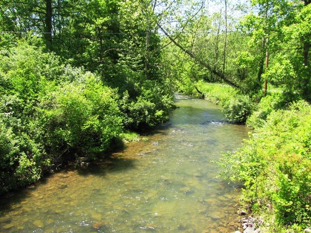329 Trout Run Road Waiteville, WV 24984 - Photo 16 of 91 Gallery Image 16