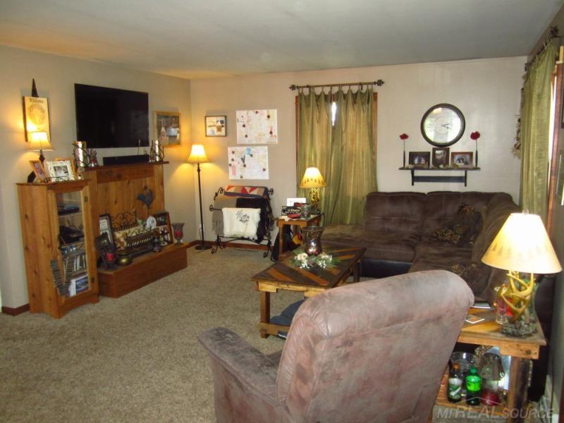 849 West Burns Line Road Melvin, MI 48454 - Photo 5 of 13 31327936-4.JPG