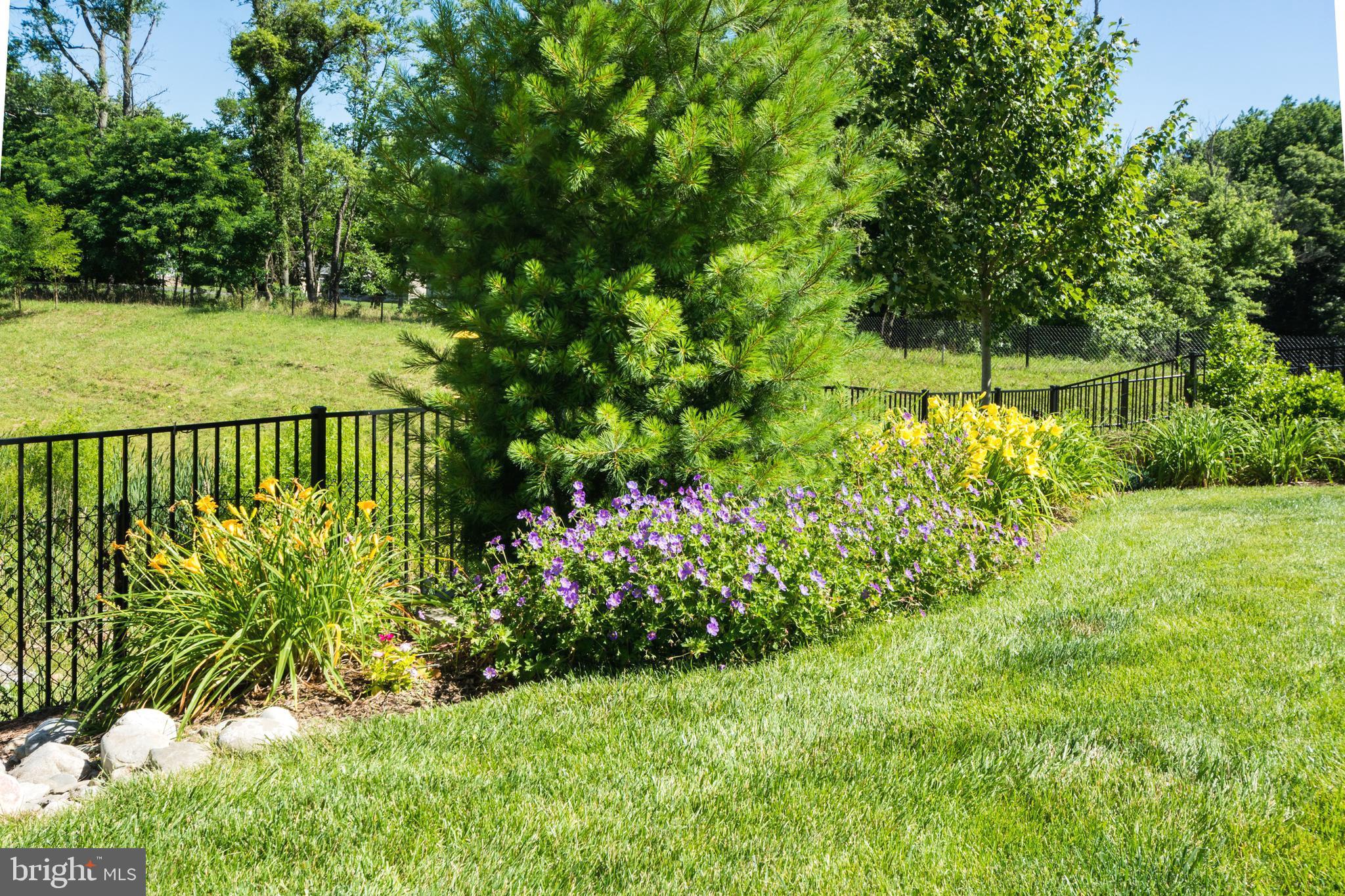 9752 Powder Hall Road Perry Hall, MD 21128 - Photo 107 of 129 BACK YARD VIEW
