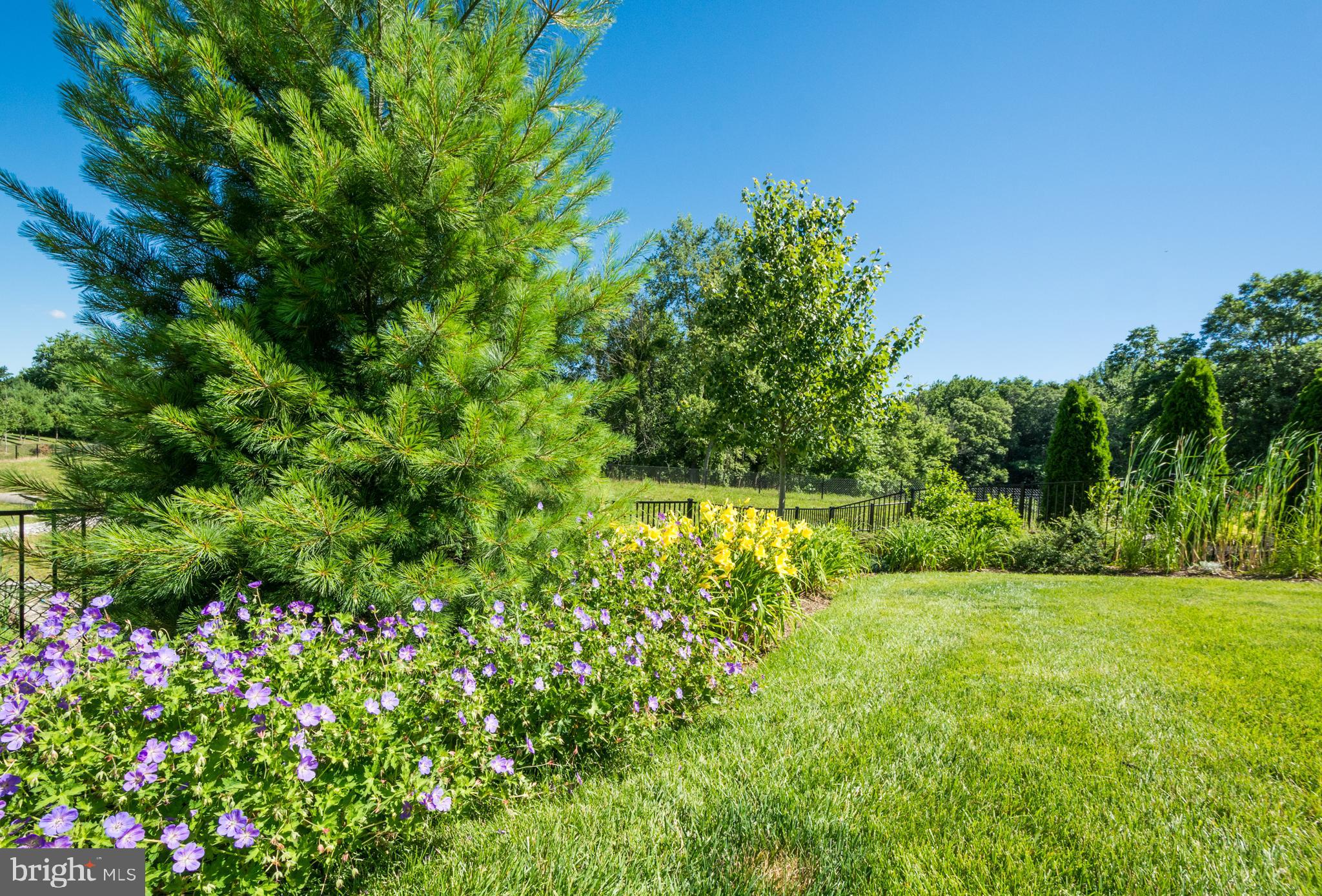 9752 Powder Hall Road Perry Hall, MD 21128 - Photo 113 of 129 BACK YARD VIEW