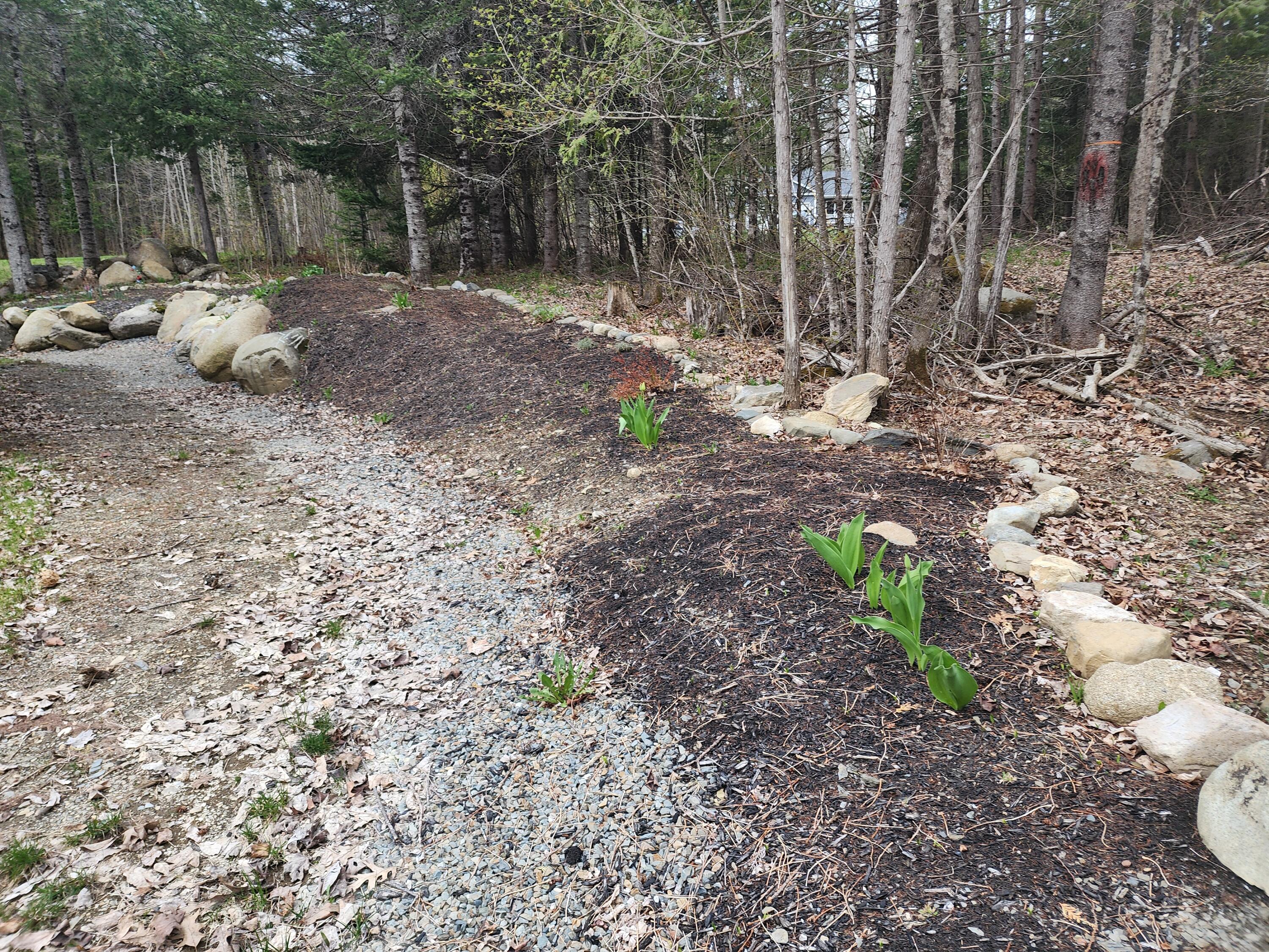 37 Anderson Farm Road Corinth, ME 04427 - Photo 12 of 41 20240504_172131