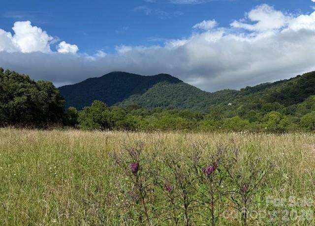 132 Hurd Road Canton, NC 28716 - Photo 21 of 41