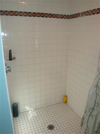 106 Desoto Road Boston, MA 02132 - Photo 15 of 27 a bathroom with a shower
