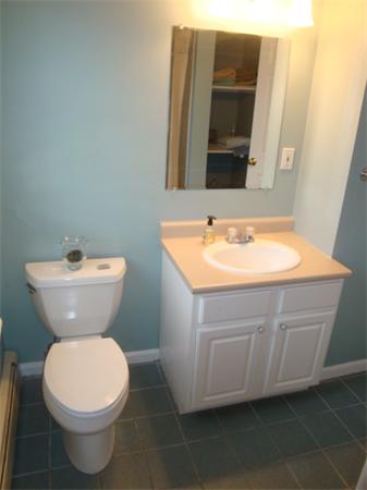 106 Desoto Road Boston, MA 02132 - Photo 17 of 27 a bathroom with a sink and a toilet