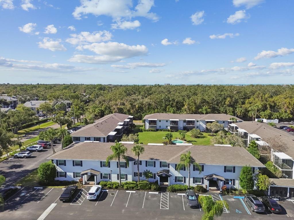 13125 Wilcox Road, Unit 6205 Largo, FL 33774 - Photo 45 of 48 a view of a city & street
