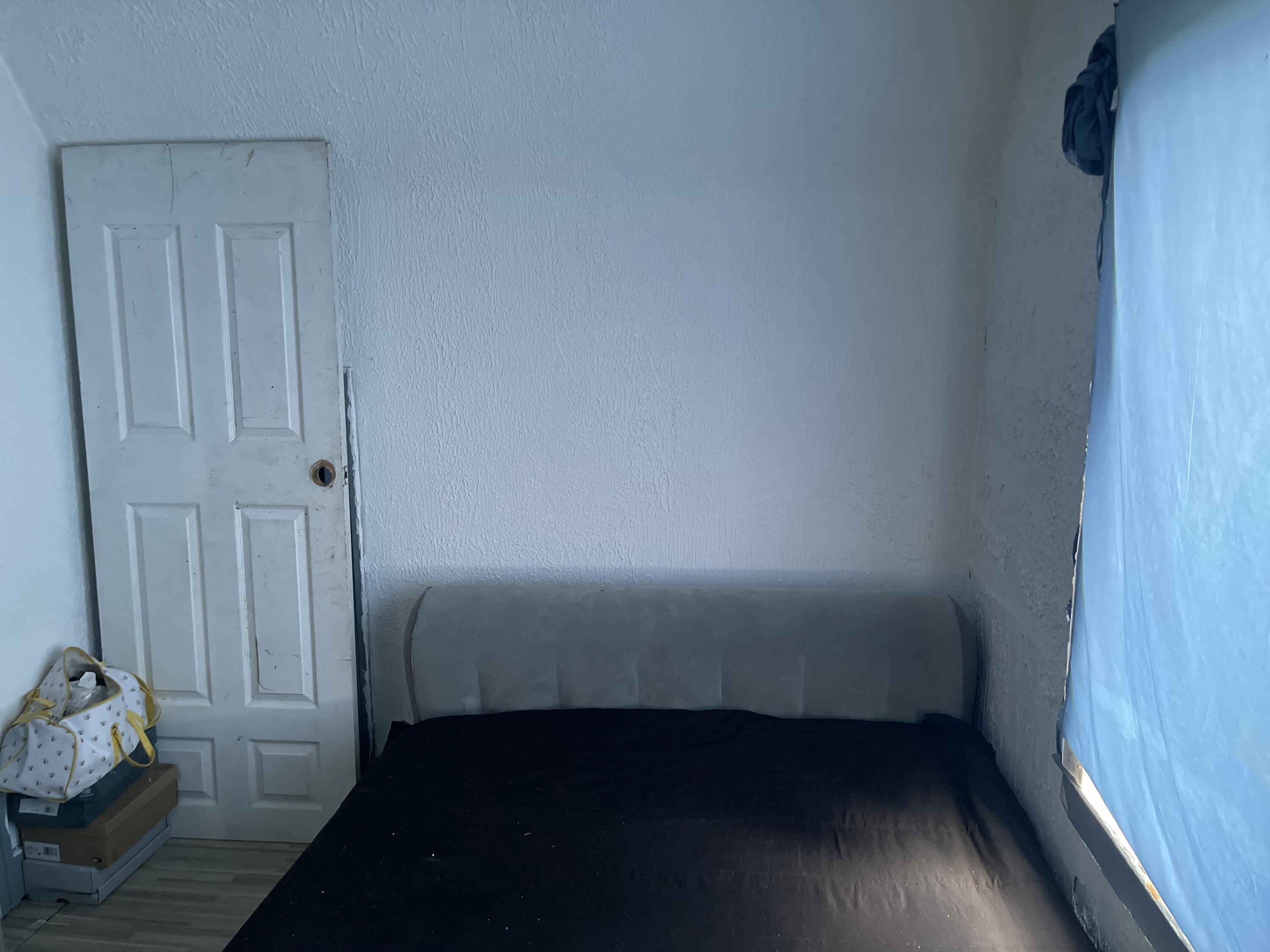 14122 Mendota Street Detroit, MI 48238 - Photo 14 of 22 IMG_1667