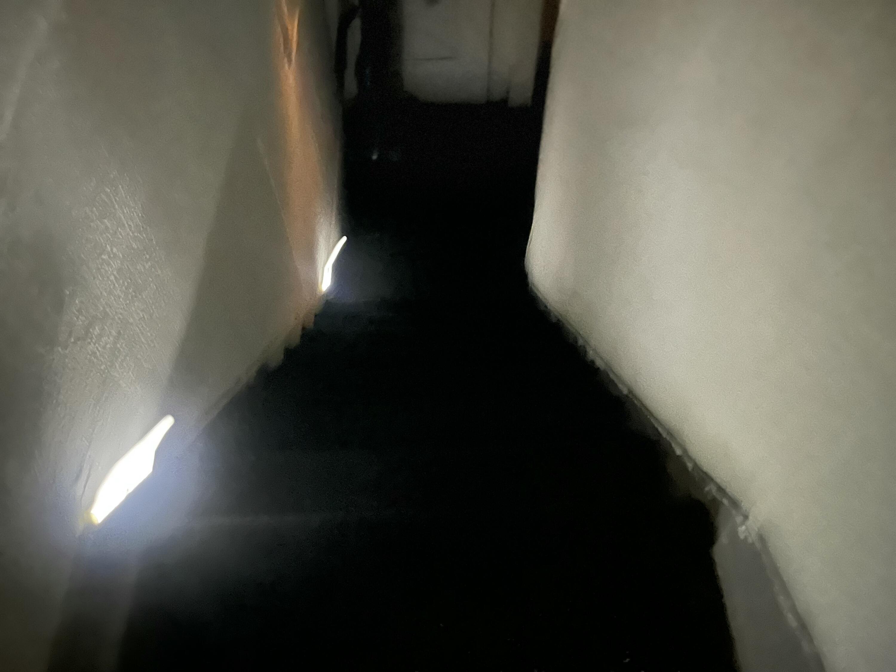 14122 Mendota Street Detroit, MI 48238 - Photo 18 of 22 IMG_1678