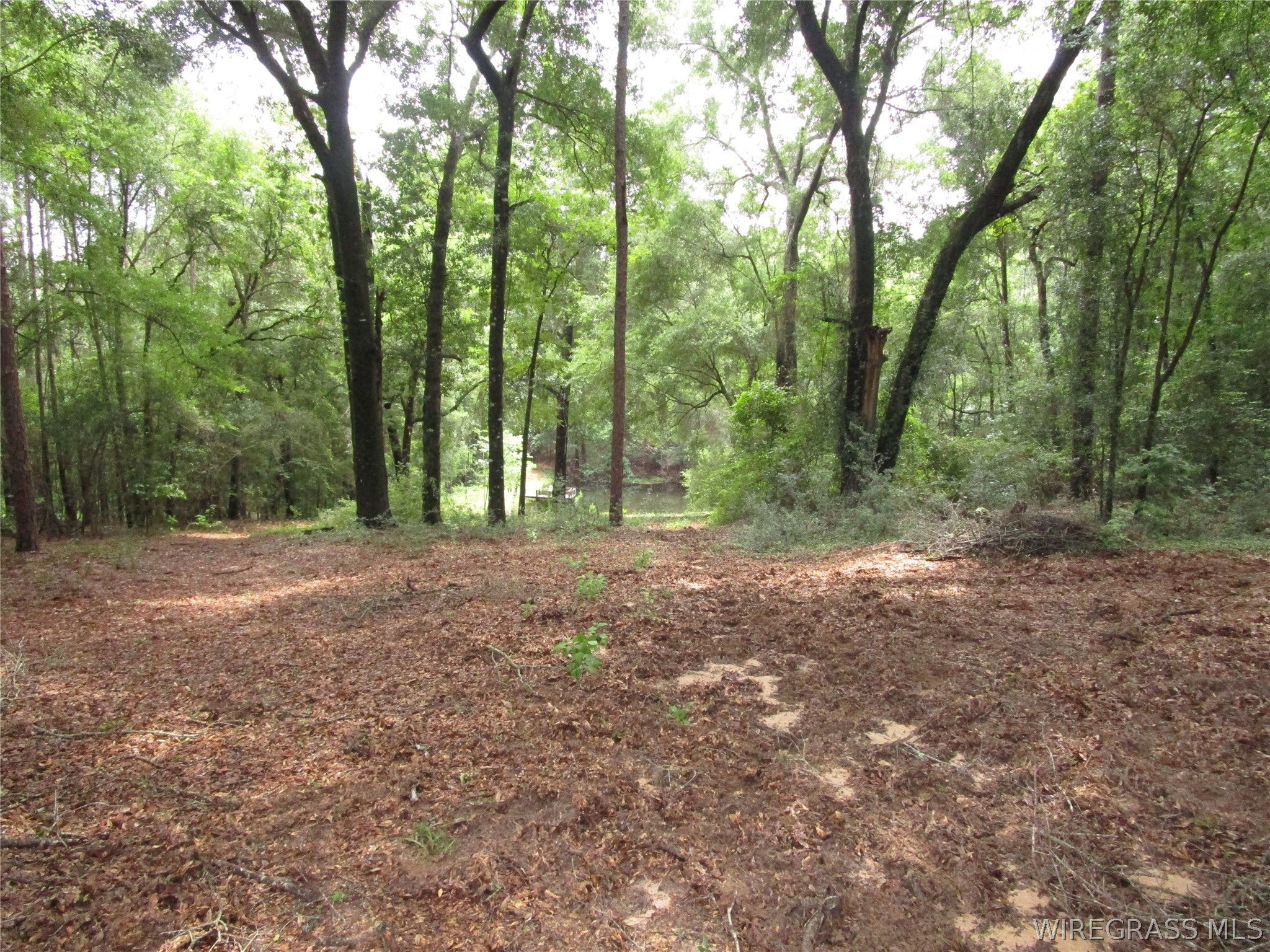 3180 Will Logan Road Ozark, AL 36360 - Photo 64 of 75 Gallery Image 64