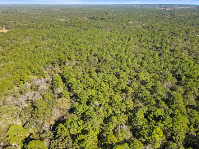 $450,000 | Tbd Chandler Lane, Huntsville, TX 77320