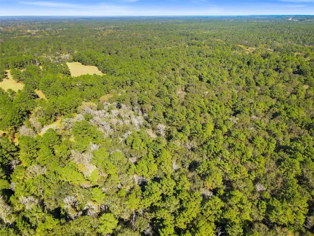 $450,000 | Tbd Chandler Lane, Huntsville, TX 77320