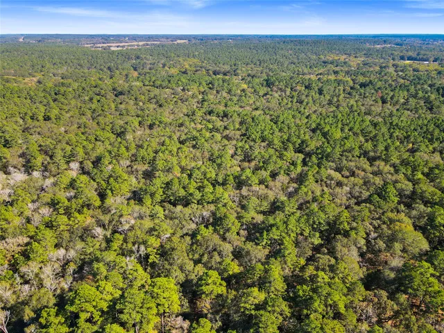 $450,000 | Tbd Chandler Lane, Huntsville, TX 77320