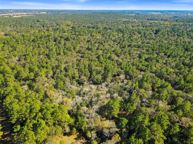 $450,000 | Tbd Chandler Lane, Huntsville, TX 77320