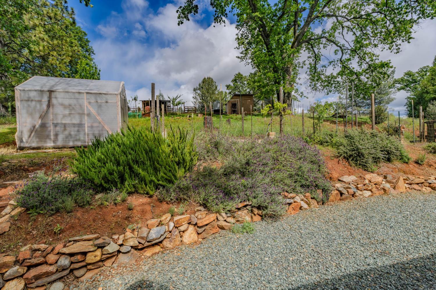 4821 Old Emigrant Trail East Mountain Ranch, CA 95246 - Photo 39 of 65 a view of a garden with a building in the background