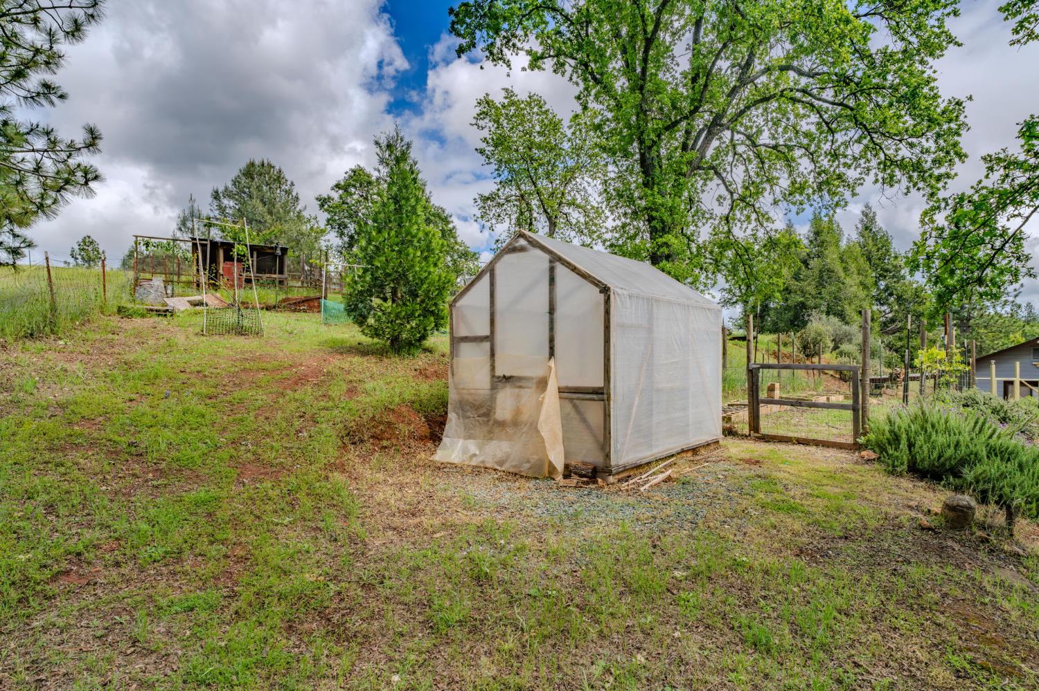 4821 Old Emigrant Trail East Mountain Ranch, CA 95246 - Photo 41 of 65