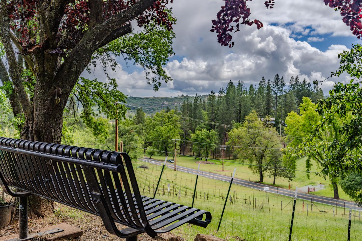 4821 Old Emigrant Trail East Mountain Ranch, CA 95246 - Photo 45 of 65