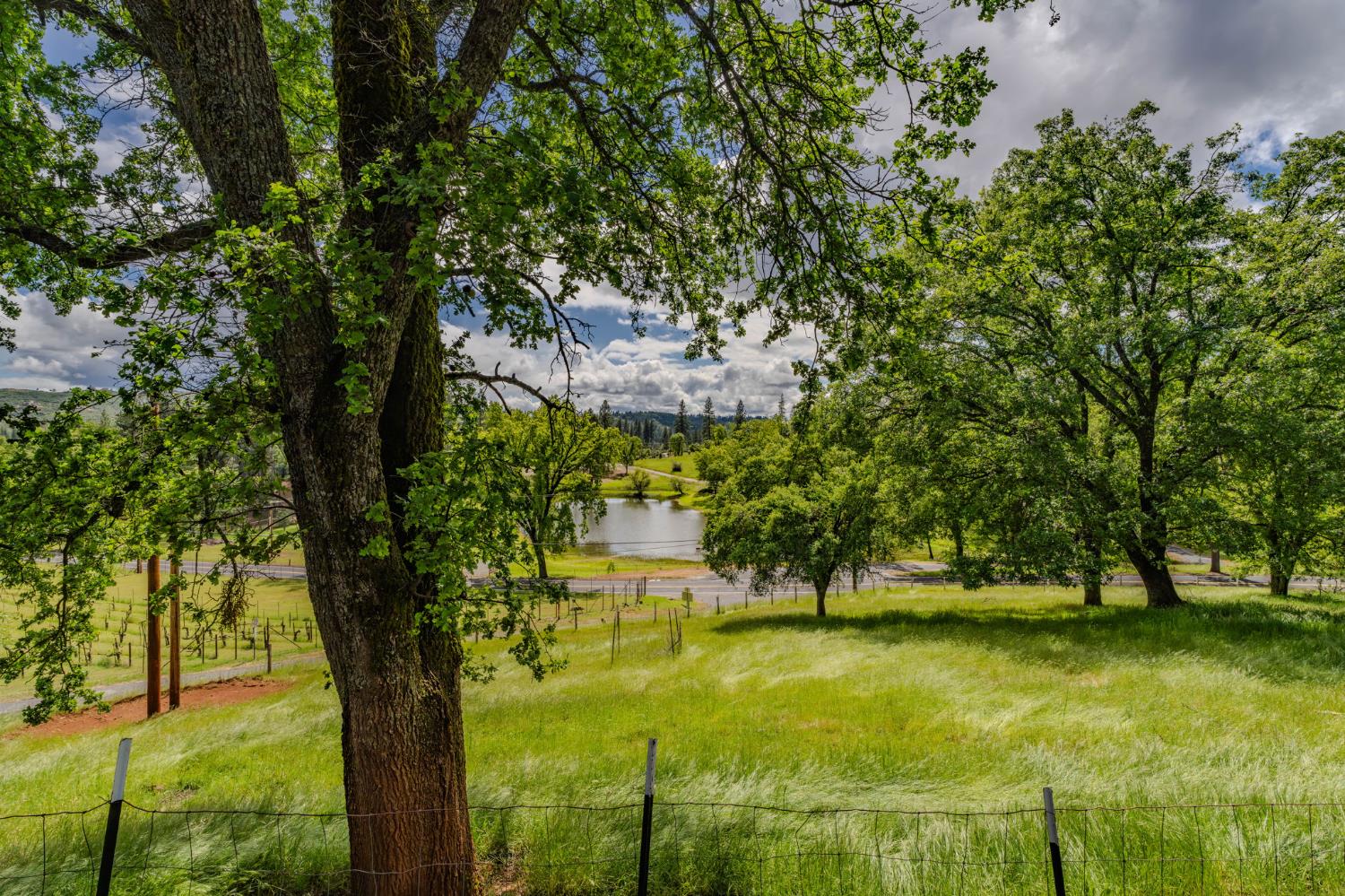 4821 Old Emigrant Trail East Mountain Ranch, CA 95246 - Photo 10 of 65 a view of a swimming pool with a yard