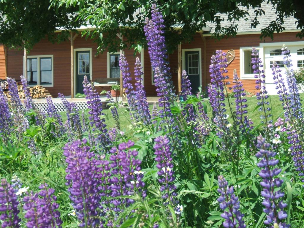 626 Slattery Road Fletcher, VT 05448 - Photo 25 of 27 Gallery Image 25