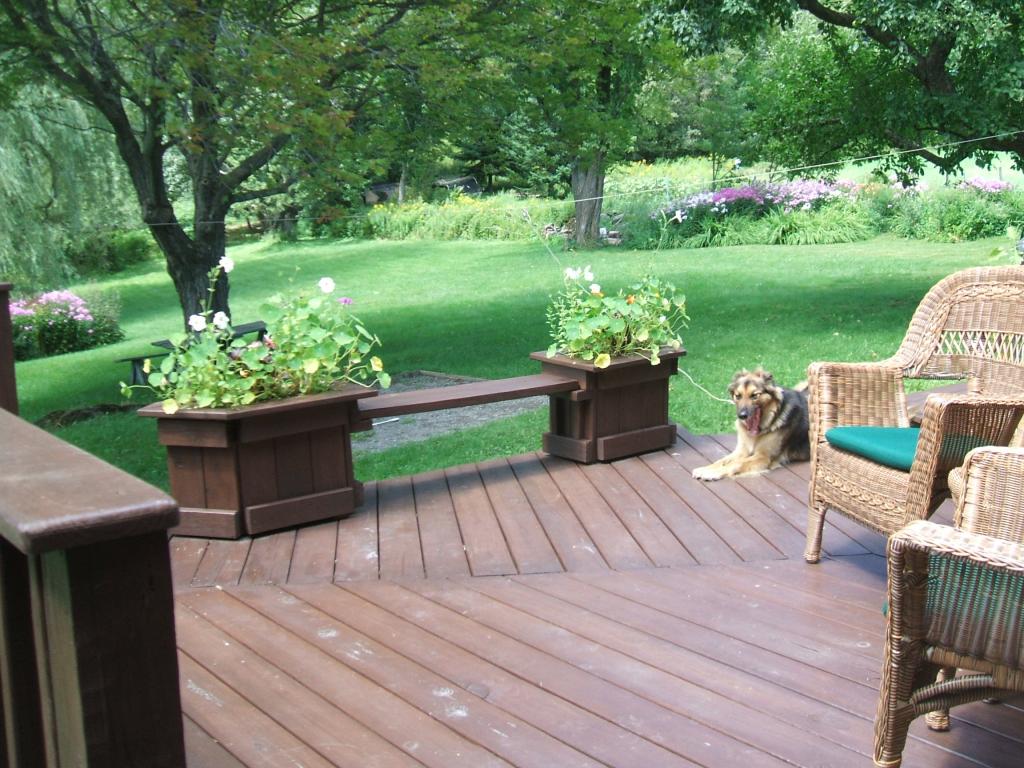 Gallery Image 6