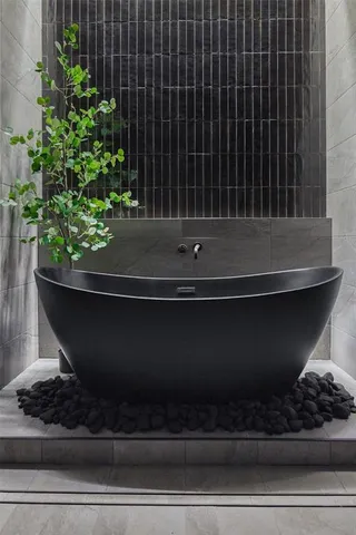 a view of a potted plant