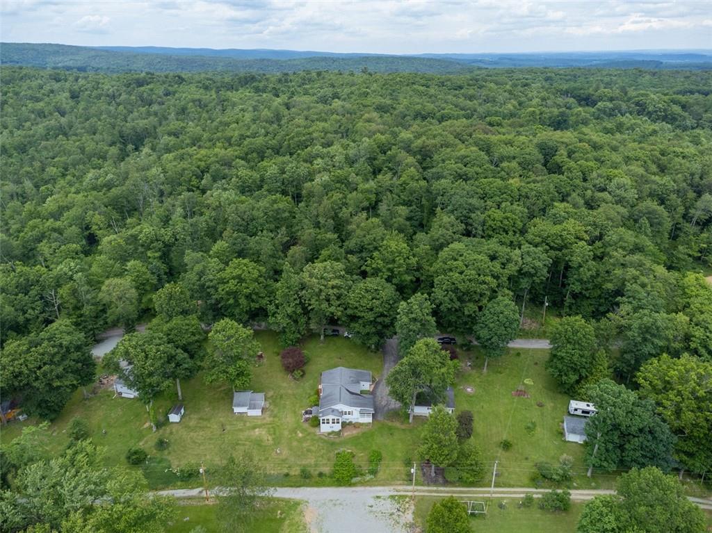 395 Cranberry Road Confluence, PA 15424 - Photo 4 of 37